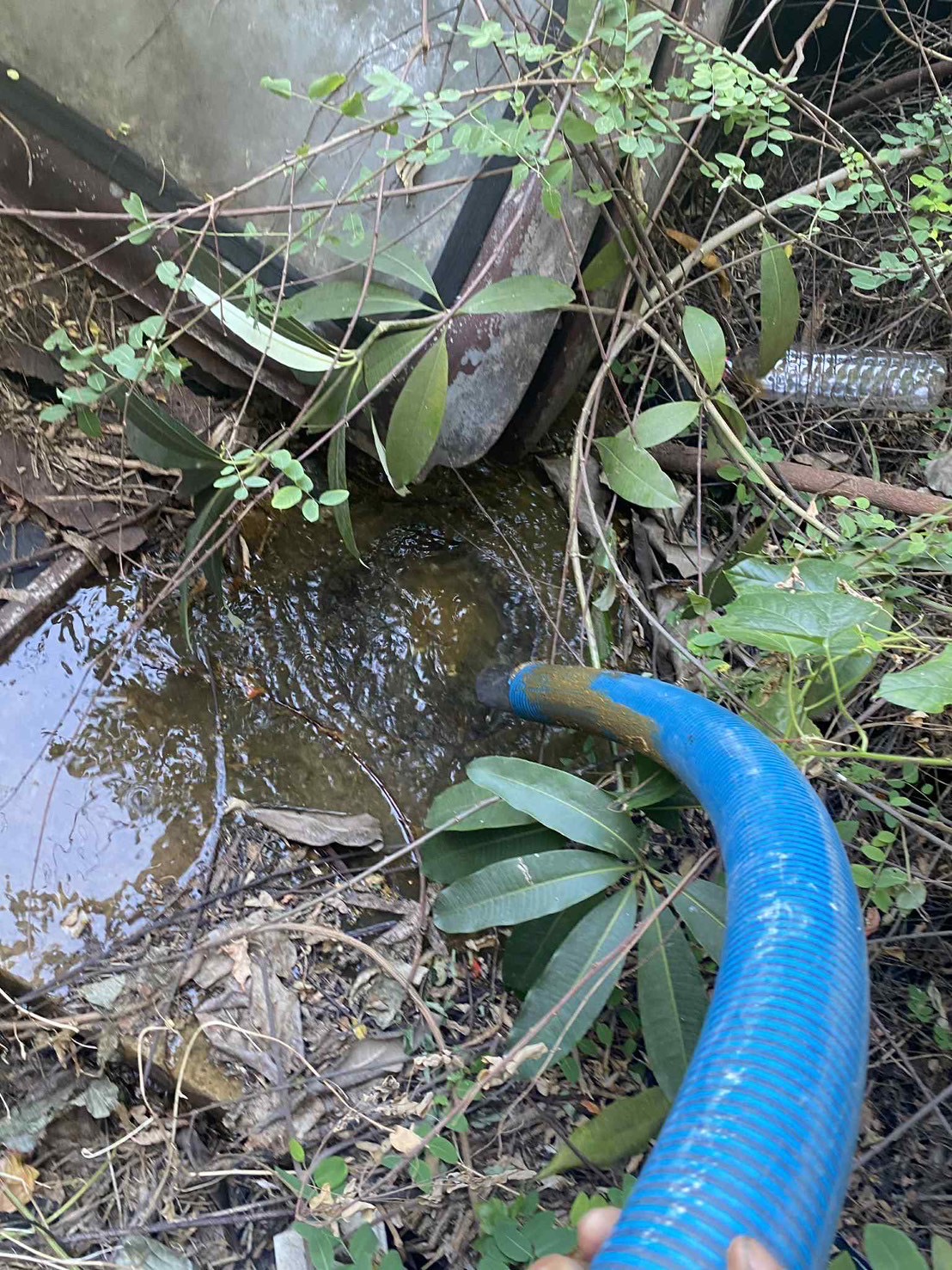 13 - https://รุ่งเรืองเซอร์วิสดูดส้วม.com | บริการรถดูดส้วม สูบส้วม สูบไขมันเร่งด่วนในกรุงเทพฯ และปริมณฑล โดยทีมงานมืออาชีพประสบการณ์กว่า 10 ปี แก้ปัญหาตรงจุด ไม่ต้องทุบรื้อ พร้อมให้บริการ 24 ชม.